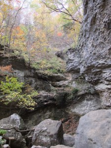 Gallery.Buffalo River.2012-10.092.LostValley