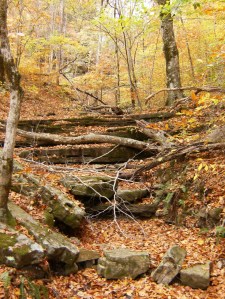 Gallery.Buffalo River.2012-10.157.BRT2