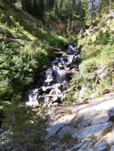 Gallery.Mt Zirkel Wilderness.2013-08-19.016