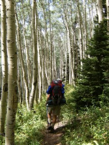 Gallery.Mt Zirkel Wilderness.2013-08-19.087