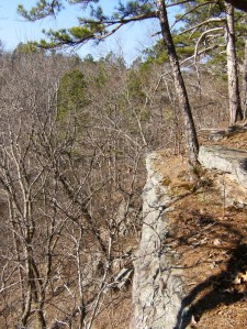 PaddyCreek.Mar2012.04