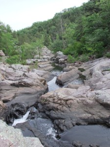 Crane Lake Recreation Area.May2012.5