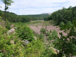 Johnson's Shut-ins State Park - Scour Trail - 05