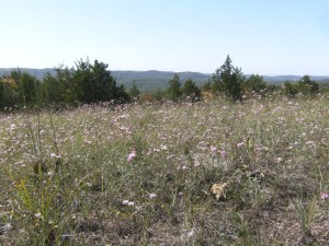 Looking south-ish from Upper Pilot Knob