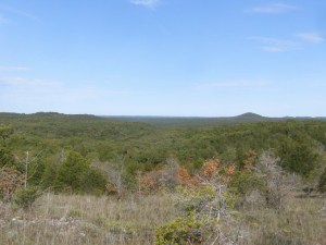 Looking north-west from Coy Bald trail, with Lower Pilot Knob on the right.