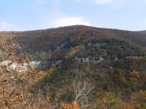 Part of Hemmed-in Hollow