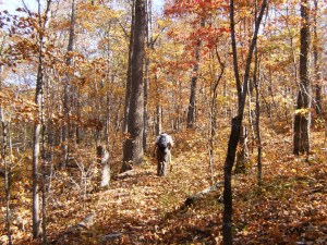 Buffalo River.2012-10.040.BRT1