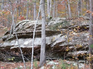 Buffalo River.2012-10.066.HawksbillCrag