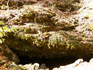 Entrance to Mud Cave