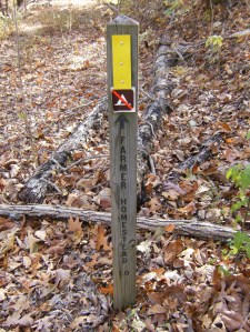 Buffalo River.2012-10.188.Farmer