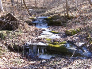 Smith's Creek.2013-02-06.20