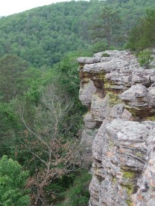 KingsBluff.20130526.012