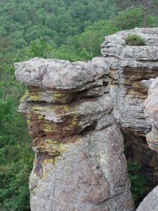 KingsBluff.20130526.016
