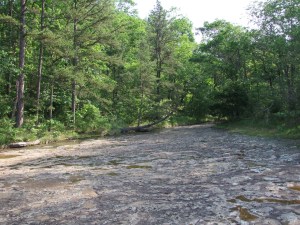 KingsBluff.20130526.038