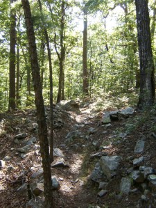 It's not a proper hike in the Ouachitas unless there's a large rock garden to navigate.