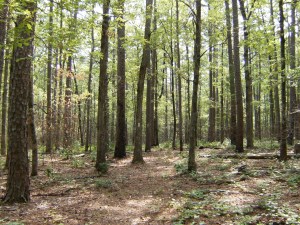LaborDay2013.4.HoleInGroundMountain.009