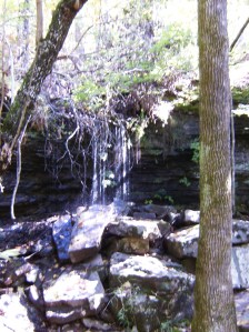 OHT 4.2013-10-17.035