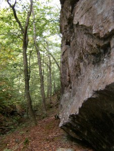 OHTA work day.2013-10-13.008