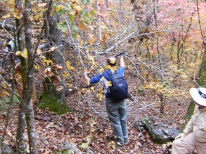 Buffalo River.2013-10-26.04.014