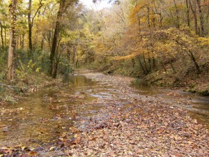 Buffalo River.2013-10-26.05.032