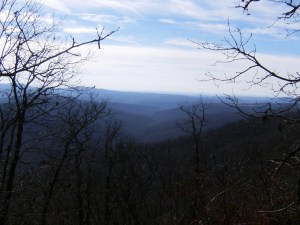 OHT 3.2013-11-28.006