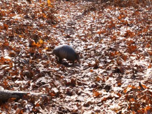 OHT 1.2013-12-04.019