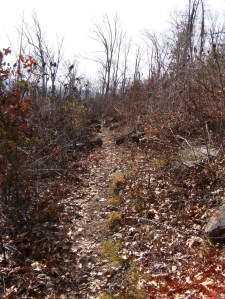 OHT 1.2013-12-04.029