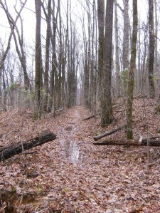 OHT 2.2013-12-22.027