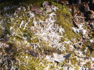 OHT 8.2014-01-24.003