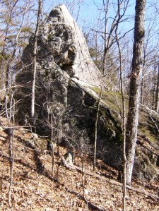 OHT 8.2014-01-24.006