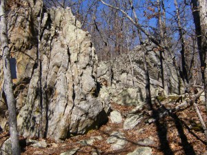 OHT 8.2014-01-24.008