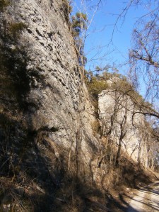 OHT 8.2014-01-24.019