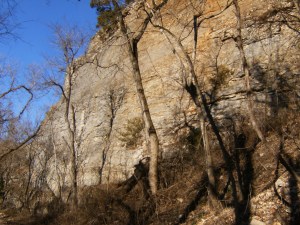 OHT 8.2014-01-24.025