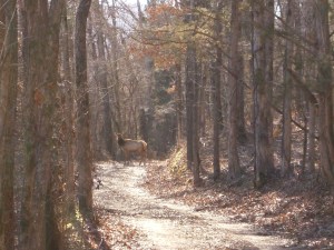 OHT 8.2014-01-24.037