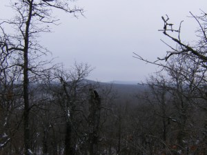 Lake Wedington Trail.2014-02-09.006