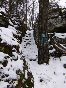 Lake Wedington Trail.2014-02-09.008