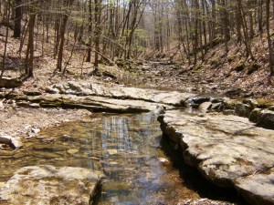Buffalo River.Beech Creek to Kyles.2014-04-18.008