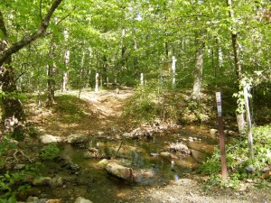 Buckeye & Caney Creek East.2014-05-02.002