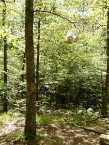 Buckeye & Caney Creek East.2014-05-02.018