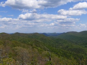 Buckeye & Caney Creek East.2014-05-02.054