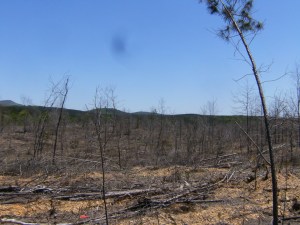 Tall Peak.2014-05-03.021
