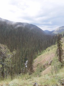 Weminuche.2014-07-27.032