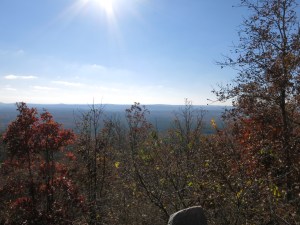 Hunt's Loop.2014-11-12.011