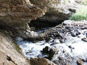 The Sink: Looking into the cavern.